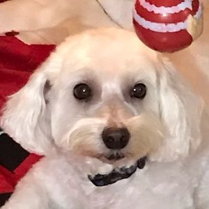 Meet your Posher, Michele